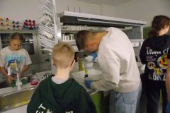 dzo_29