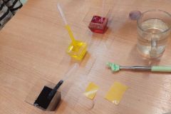 IMG-20260324-WA0022