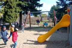 IMG_20260323_110705353_MFNR