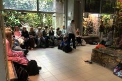 orientarium8