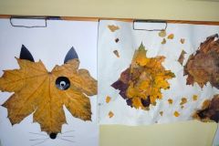 IMG-20251112-WA0005