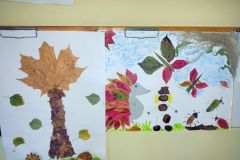 IMG-20251112-WA0009