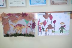 IMG-20251112-WA0011