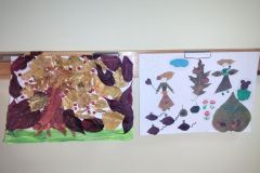 IMG-20251112-WA0013