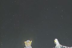 IMG-20260325-WA0020