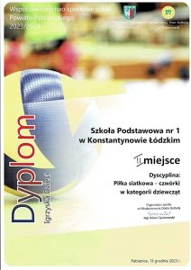 Dyplom pilka siatkowa